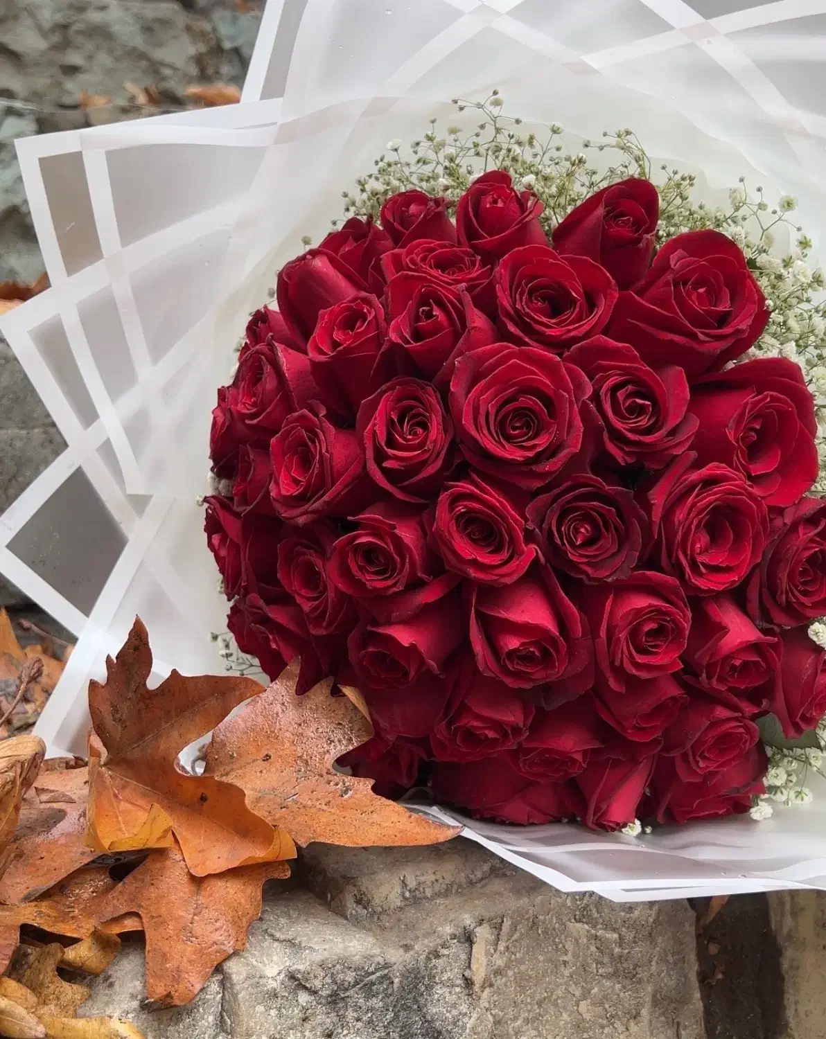 دسته گل طبیعی رز|گل و گیاه طبیعی|تهران, حکیمیه|دیوار