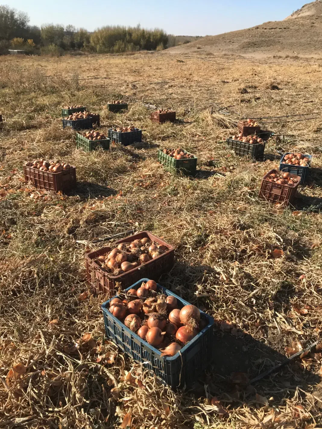 انبار برای اجاره|اجارهٔ کوتاه‌مدت ویلا و باغ|زنجان, |دیوار