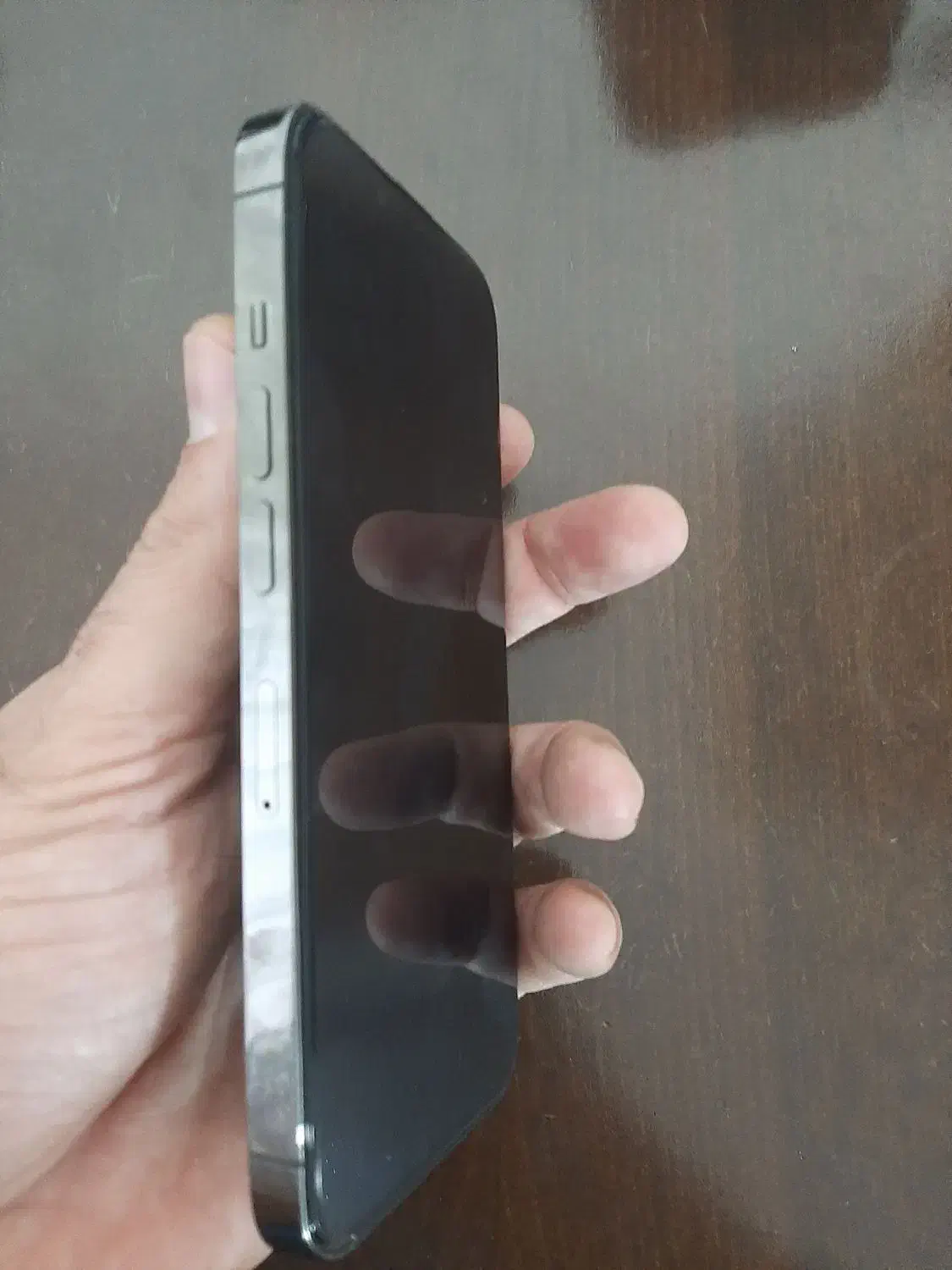 ایفون ۱۳ پرو|موبایل|اصفهان, باغ دریاچه|دیوار