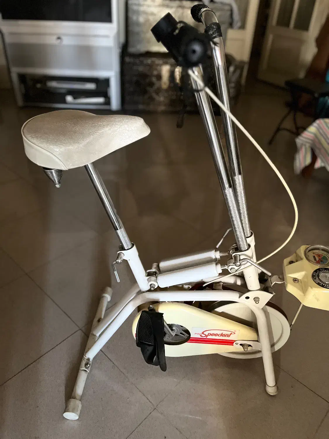 دوچرخه ثابت آلمانی|تجهیزات ورزشی|رشت, منظریه|دیوار