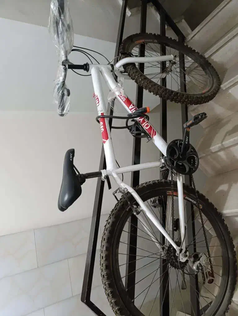 دوچرخه المپیا سایز 26 دنده ای|دوچرخه، اسکیت، اسکوتر|گرمدره, |دیوار