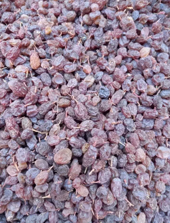 کشمش آفتابی|خوردنی و آشامیدنی|ملایر, |دیوار