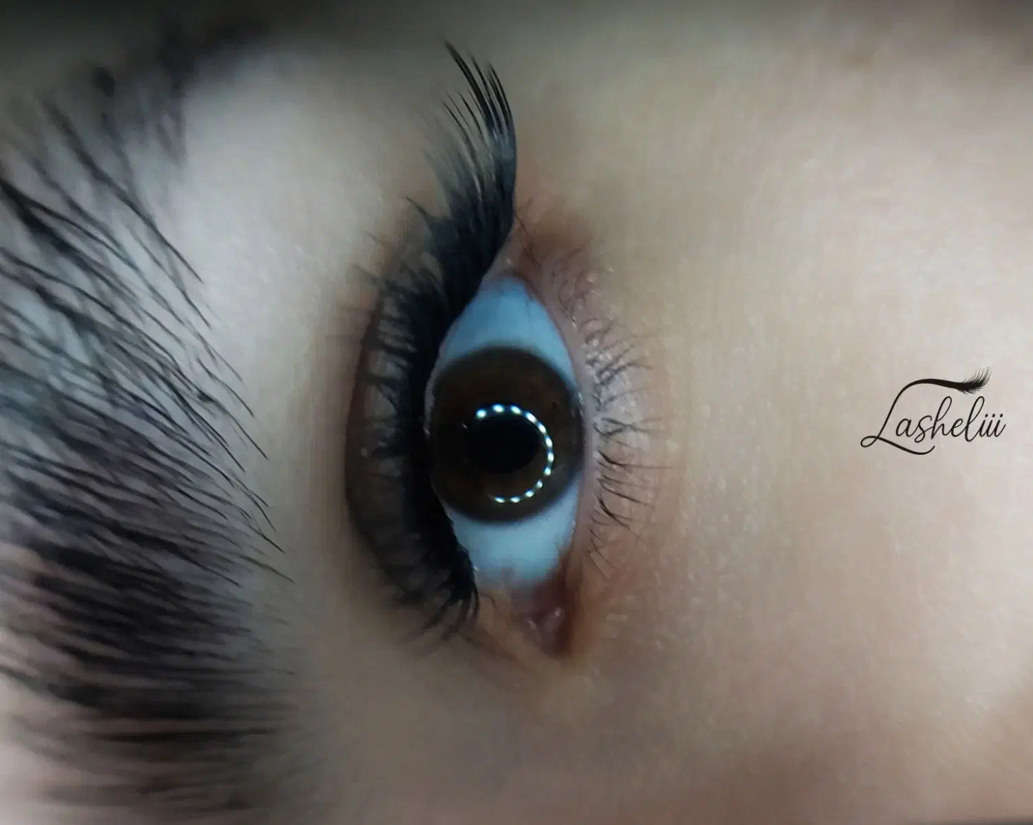 کاشت مژه هیدن تخفیف ویژه|خدمات آرایشگری و زیبایی|رشت, منظریه|دیوار