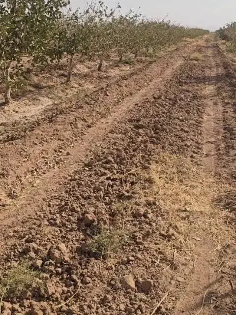 زمین کشاورزی تقاب|فروش زمین و ملک کلنگی|خوسف, |دیوار