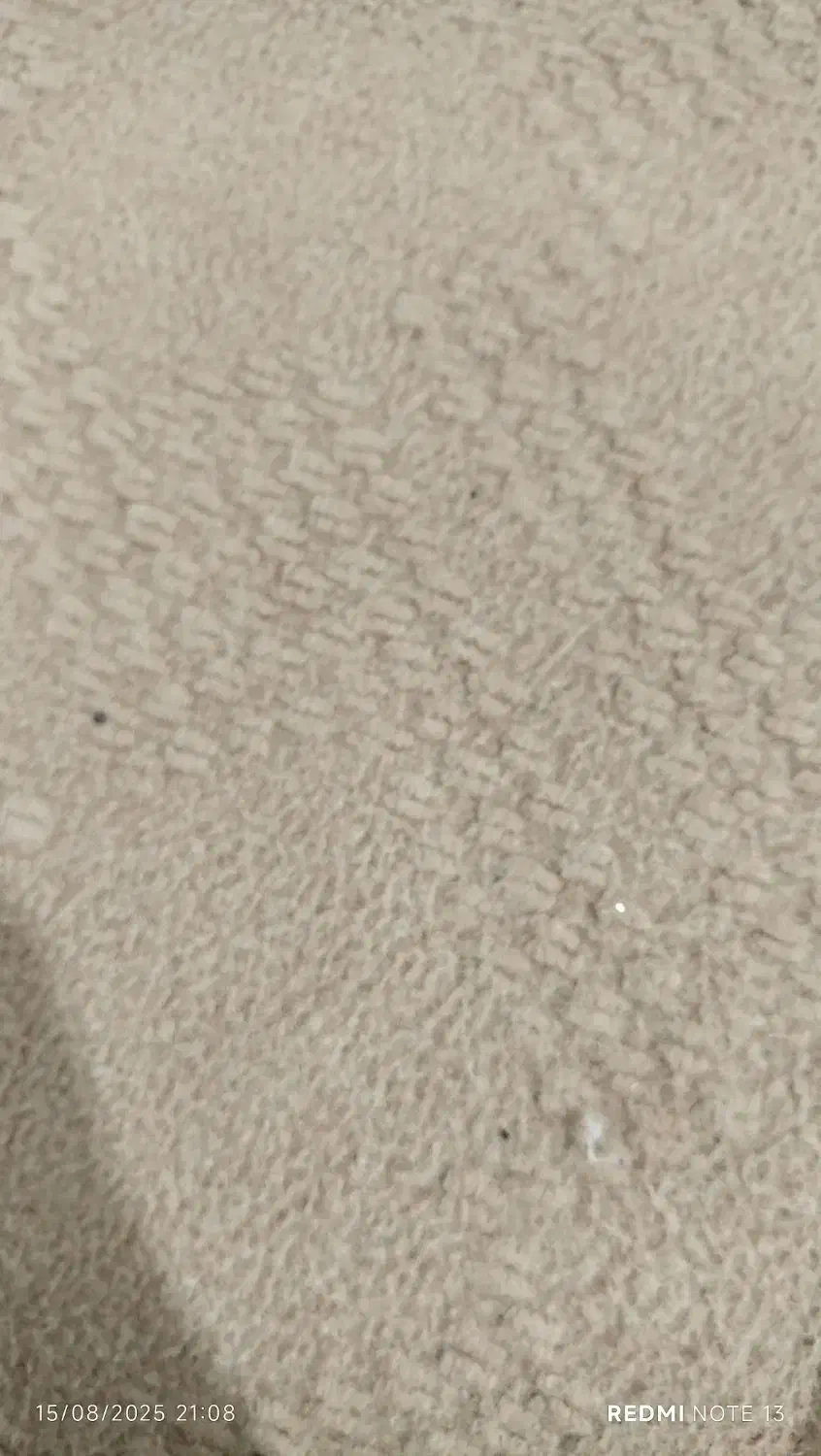 موکت|موکت|بجنورد, |دیوار