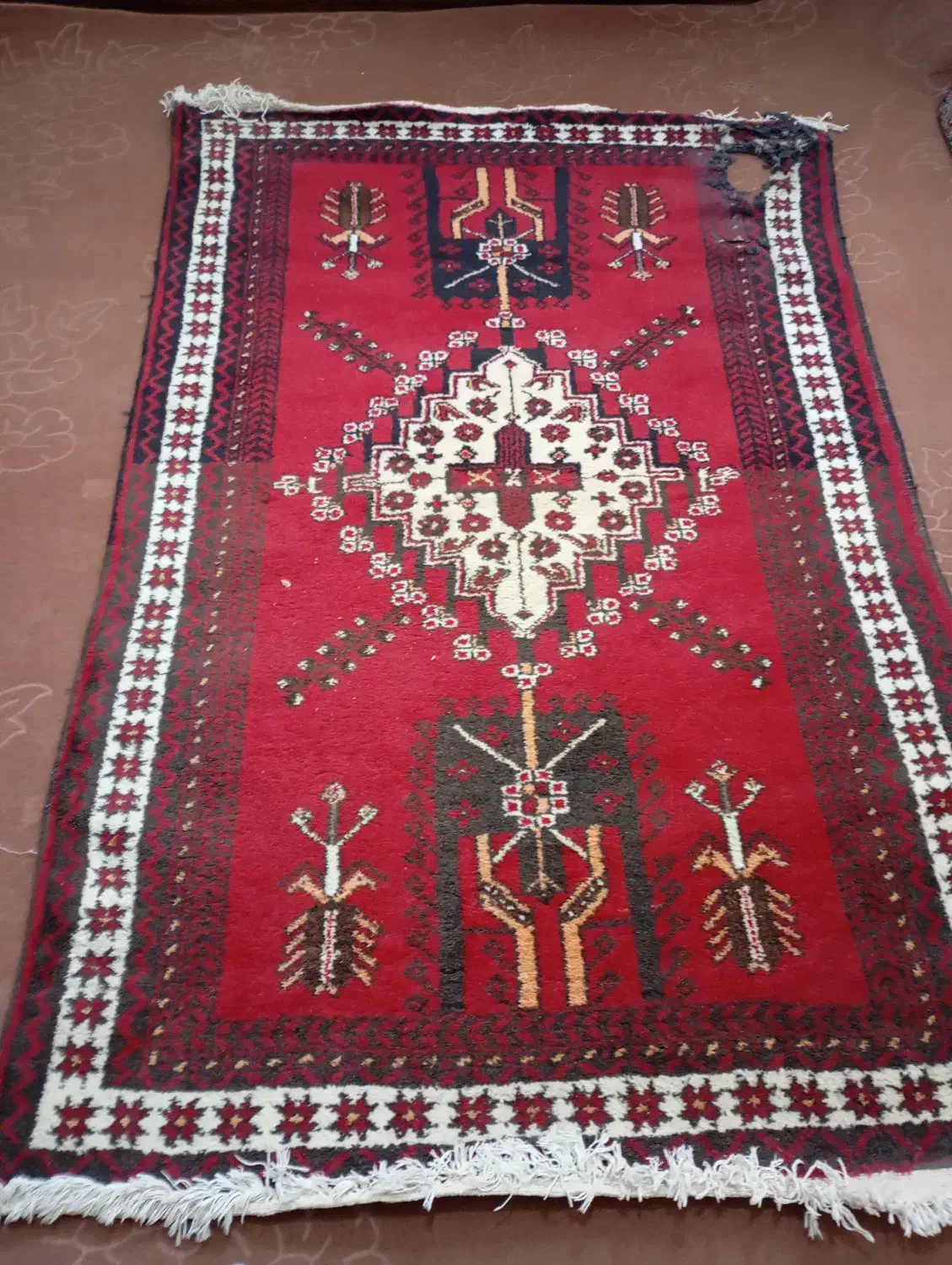 قالی دستباف ایران|فرش|شوش, |دیوار