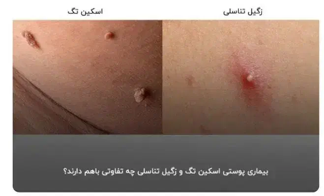 آموزش فیشال تخصصی با پشتیبانی ۶ ماهه|خدمات آموزشی|یاسوج, |دیوار