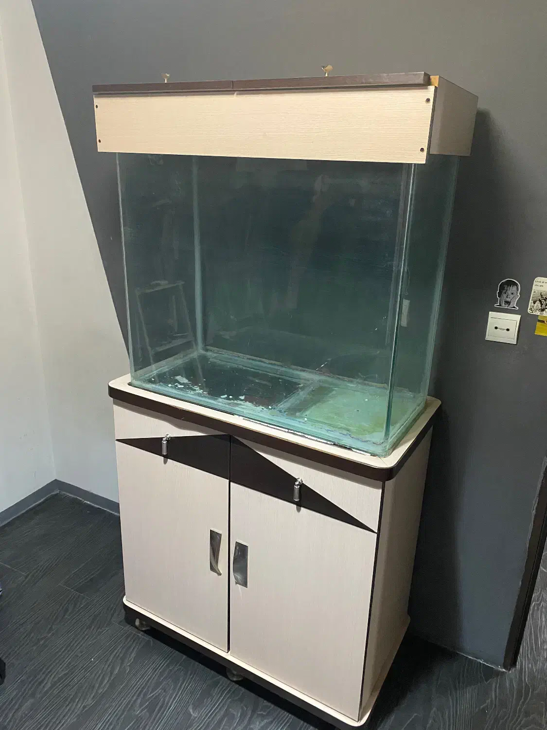 اکواریوم|ماهی|رشت, فلسطین|دیوار