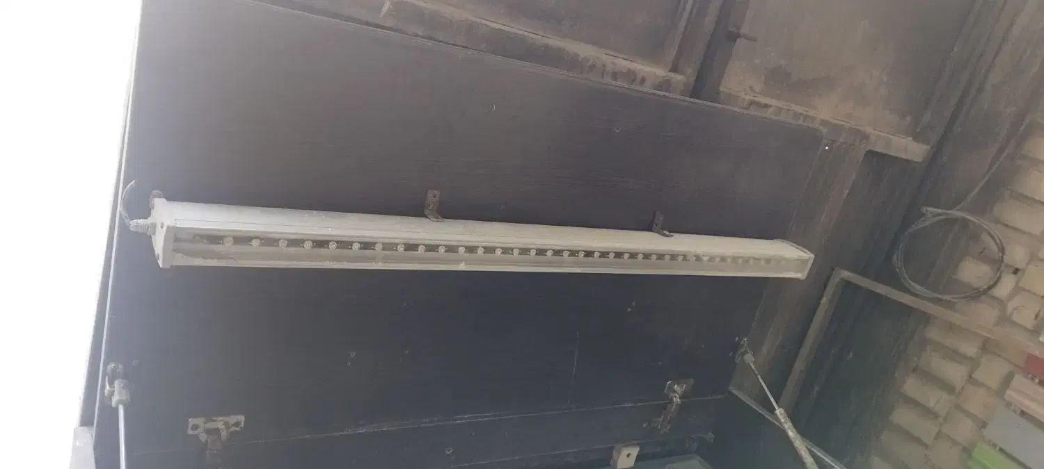 اکواریوم|ماهی|شهرضا, |دیوار