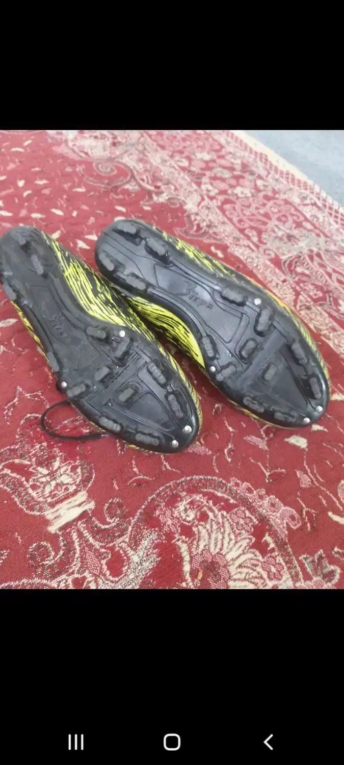 کفش فوتبال چمنی سایز ۴۲|کیف، کفش، کمربند|بومهن, |دیوار