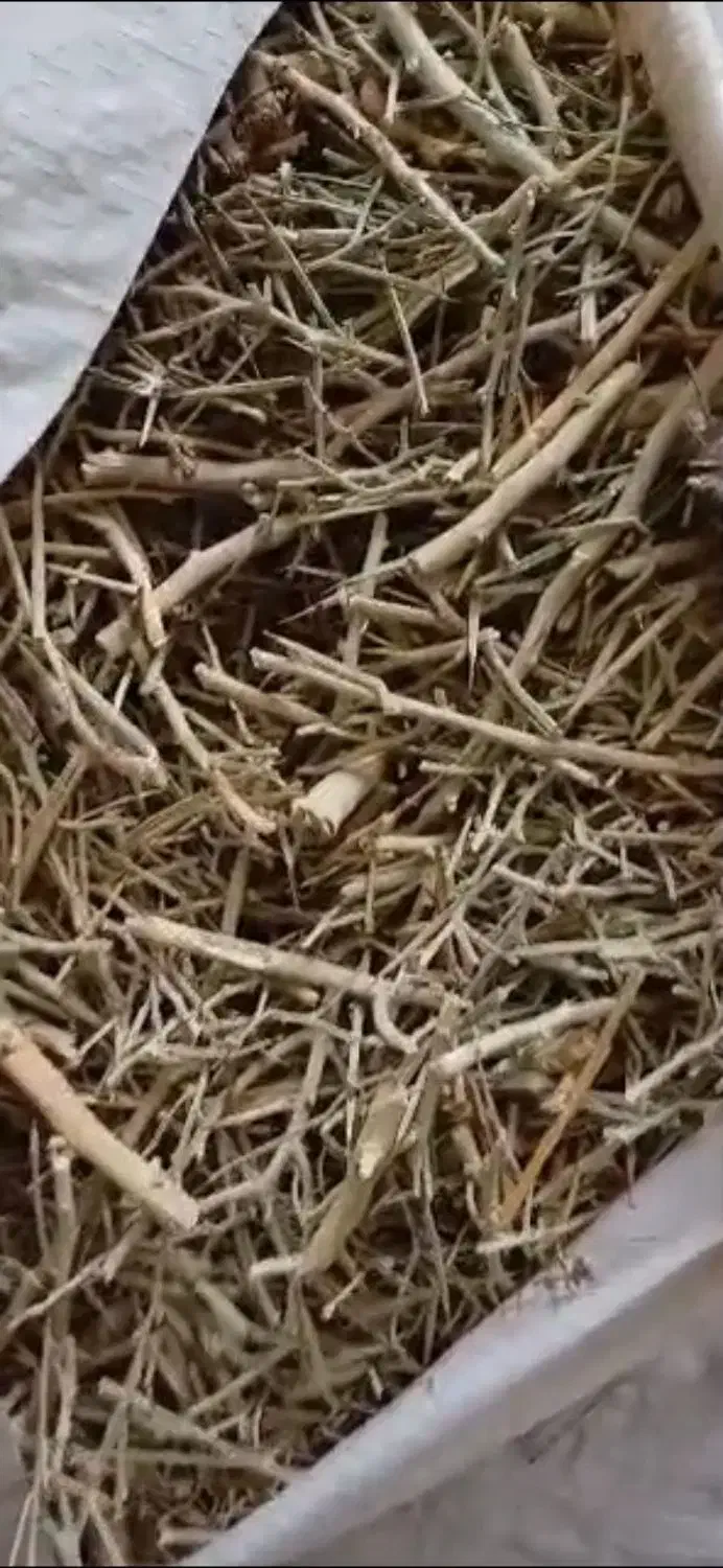 خارشتر فله ای|عمده‌فروشی|سرپل ذهاب, |دیوار