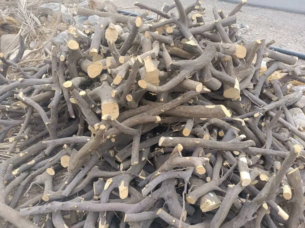 فروش چوب پرتقال|خدمات باغبانی و درختکاری|جهرم, |دیوار