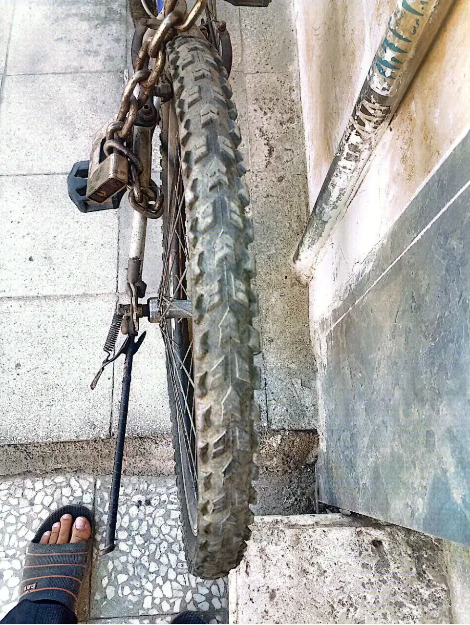 دوچرخه|دوچرخه، اسکیت، اسکوتر|قم, باجک دو|دیوار