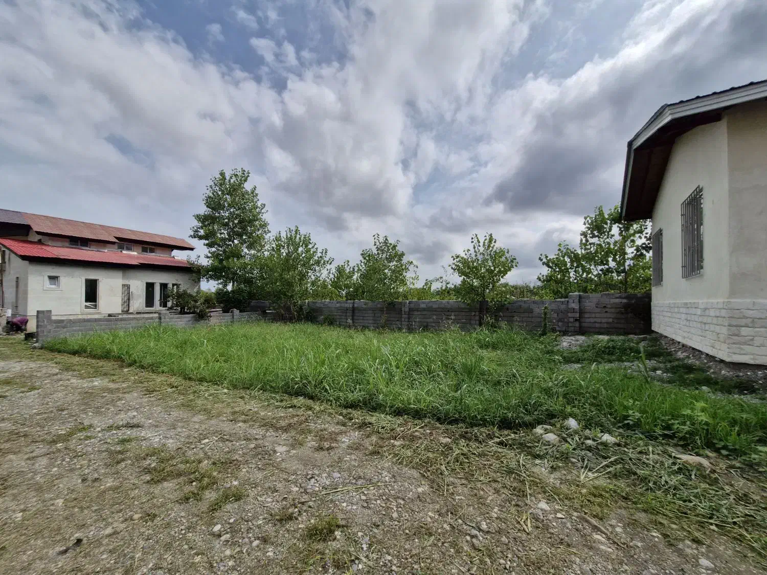 فروش زمین ۲۵۴ متر داخل شهرک با امنیت بالا|فروش زمین و ملک کلنگی|نشتارود, |دیوار