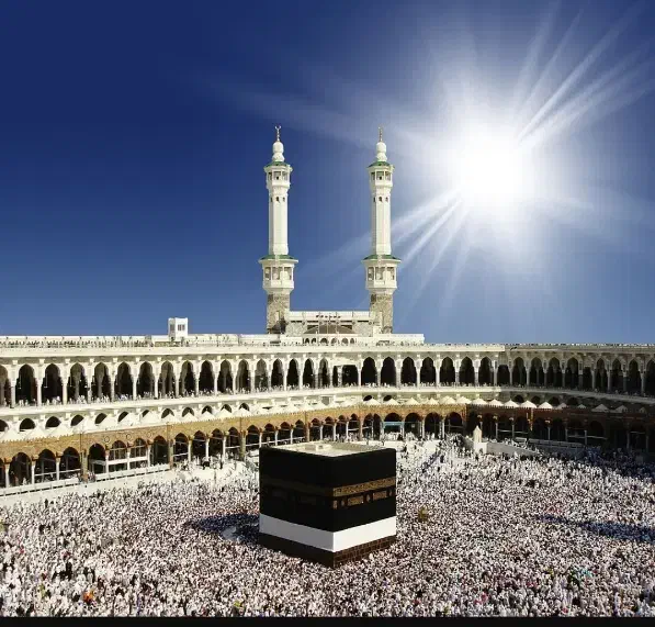 دو عدد فیش حج تمطع|تور و چارتر|کرج, عظیمیه|دیوار