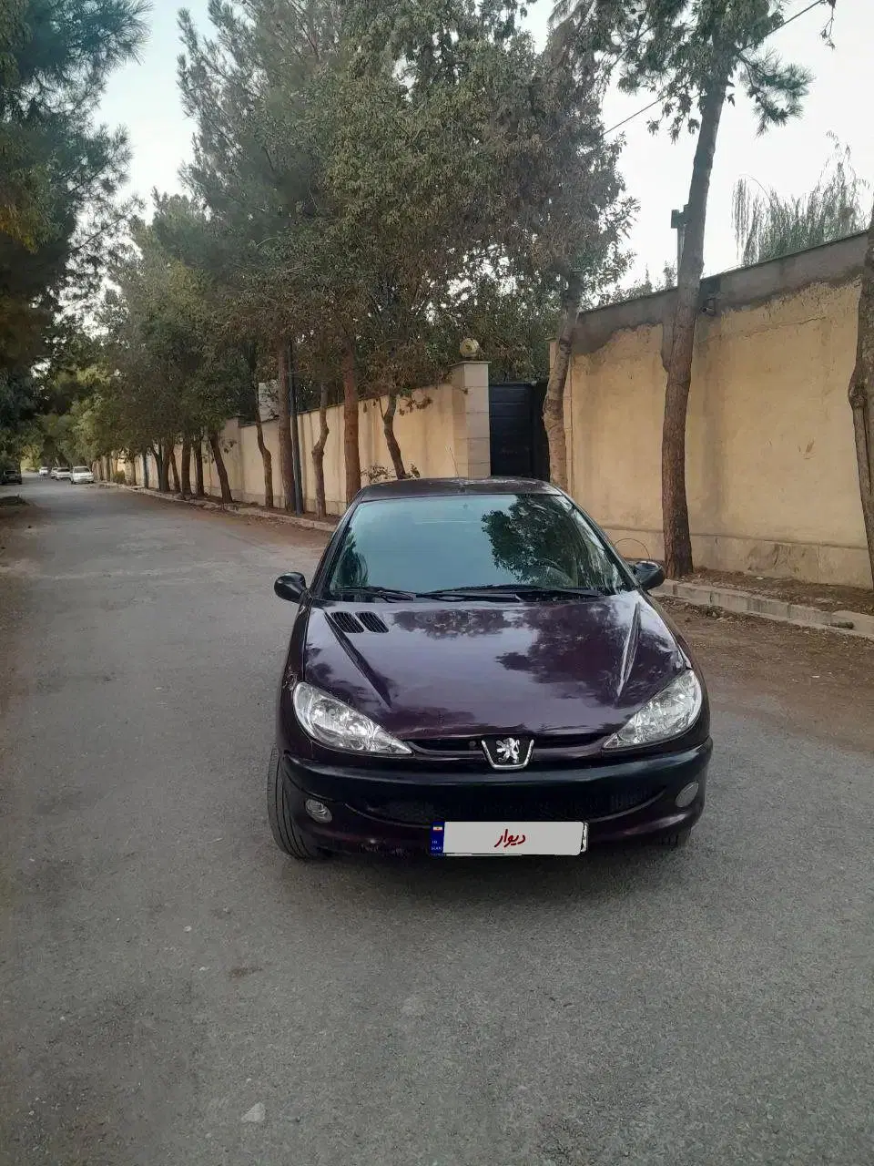 206 sd تیپ5 V1|خودرو سواری و وانت|کرج, حیدرآباد|دیوار