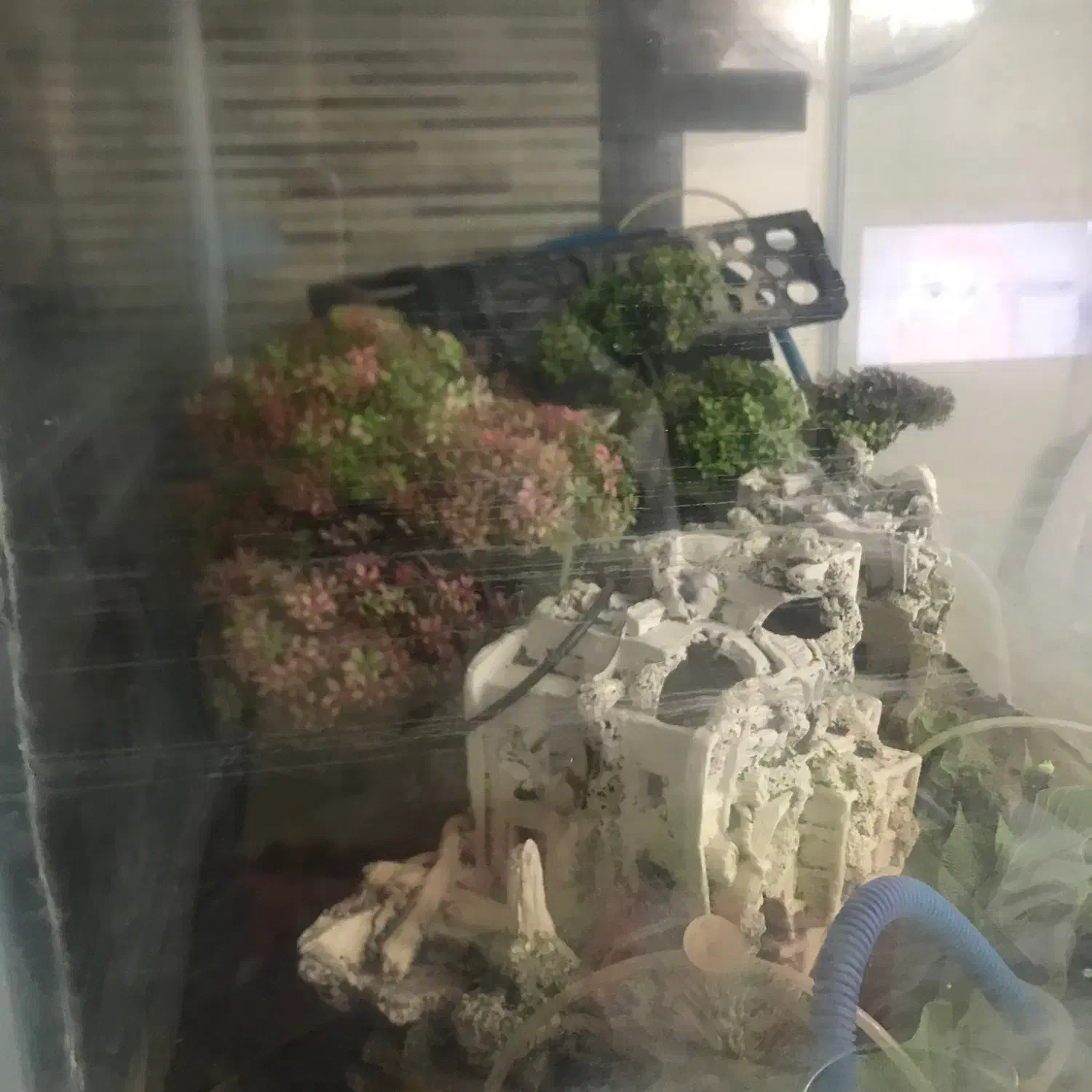 اکواریم با لوازم به ابعاد ۶۰۸۰۹۰|ماهی|تهران, حشمتیه|دیوار