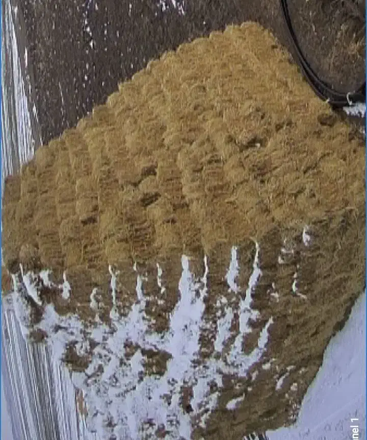 یونجه (چین دوم )|عمده‌فروشی|بستان آباد, |دیوار