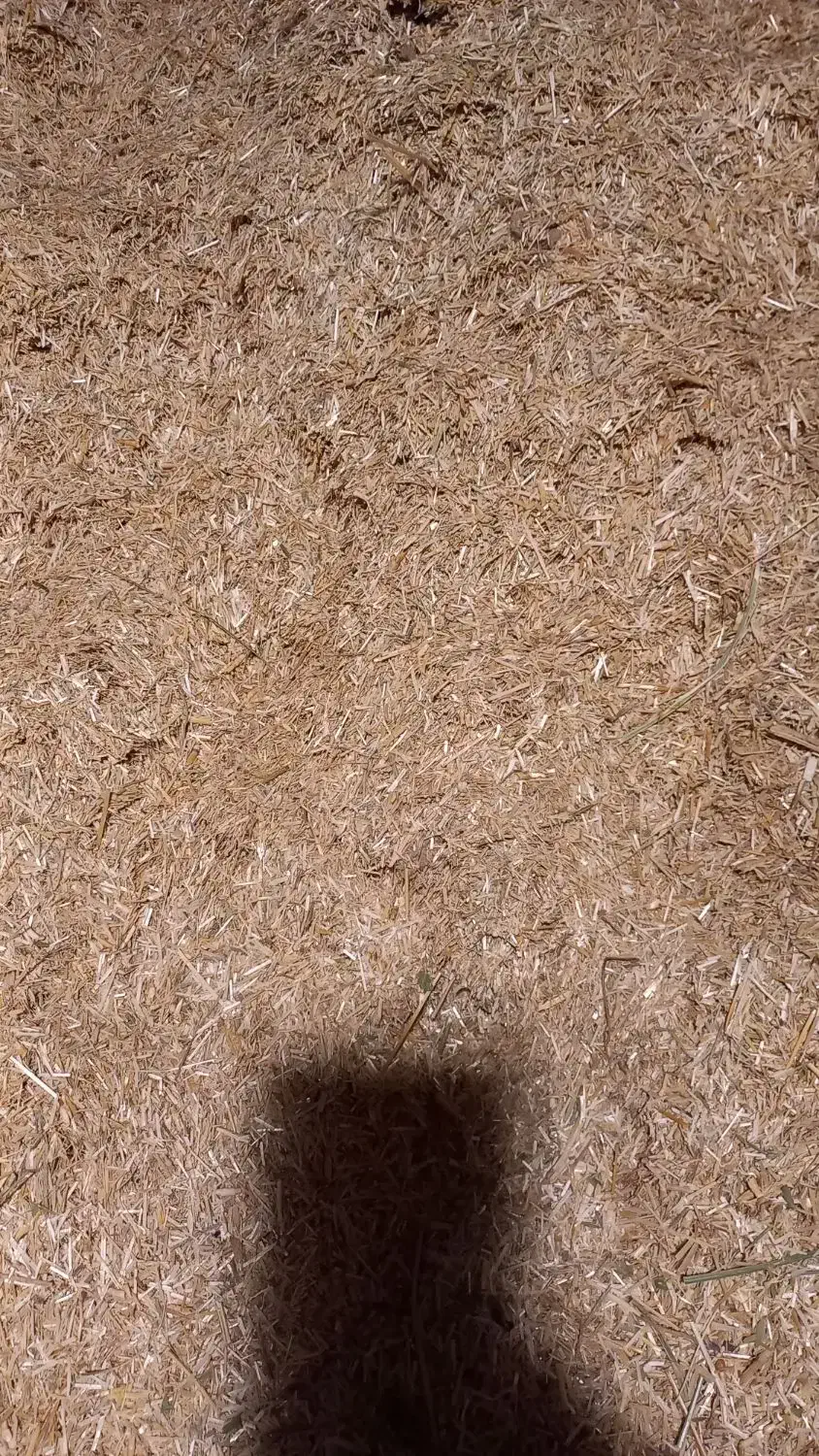 کاه جو|لوازم جانبی حیوانات|خواجه, |دیوار