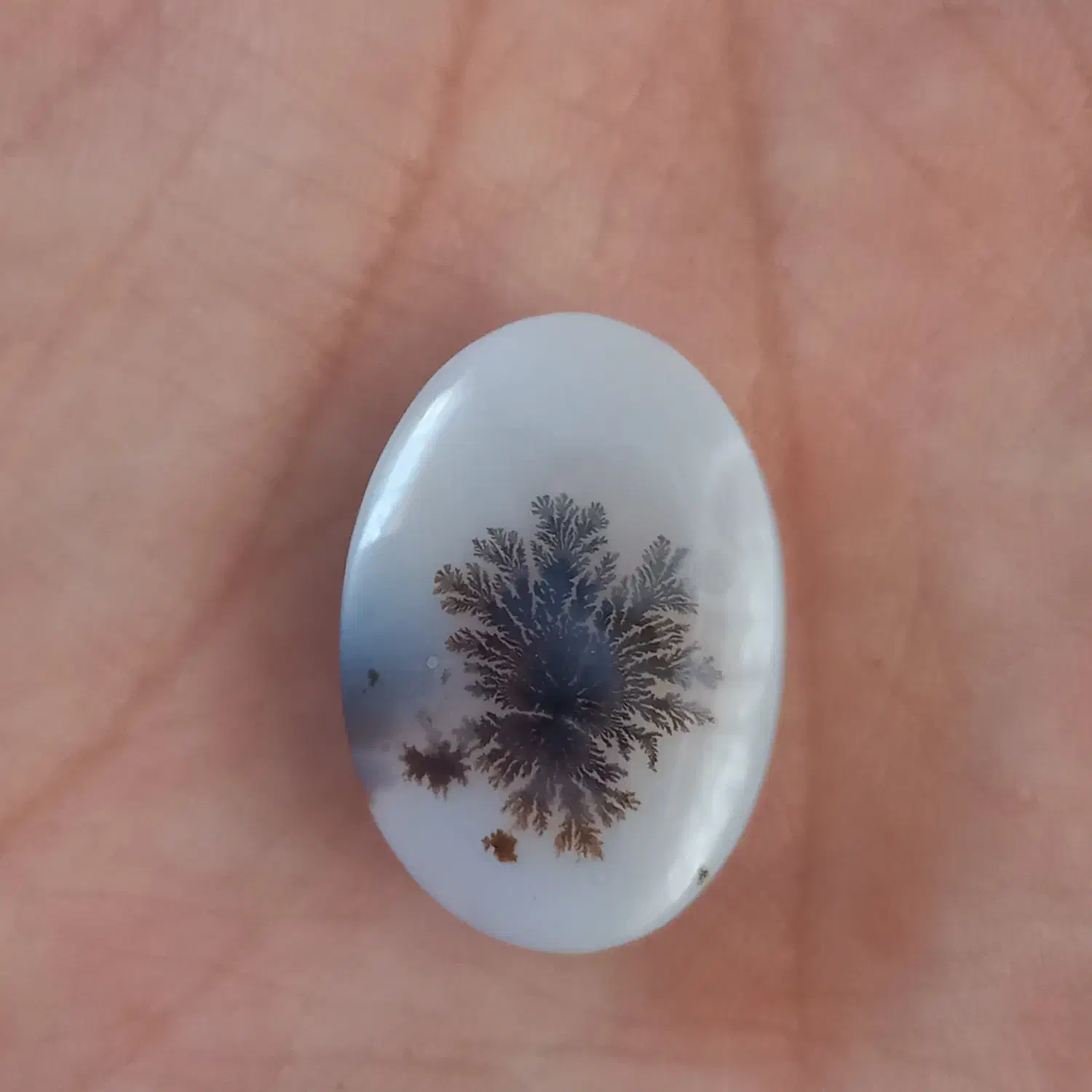 شجر قائنات|جواهرات|قائن, |دیوار