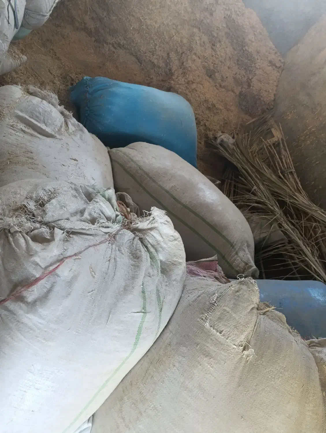 کاه|لوازم جانبی حیوانات|جره و بالاده, |دیوار