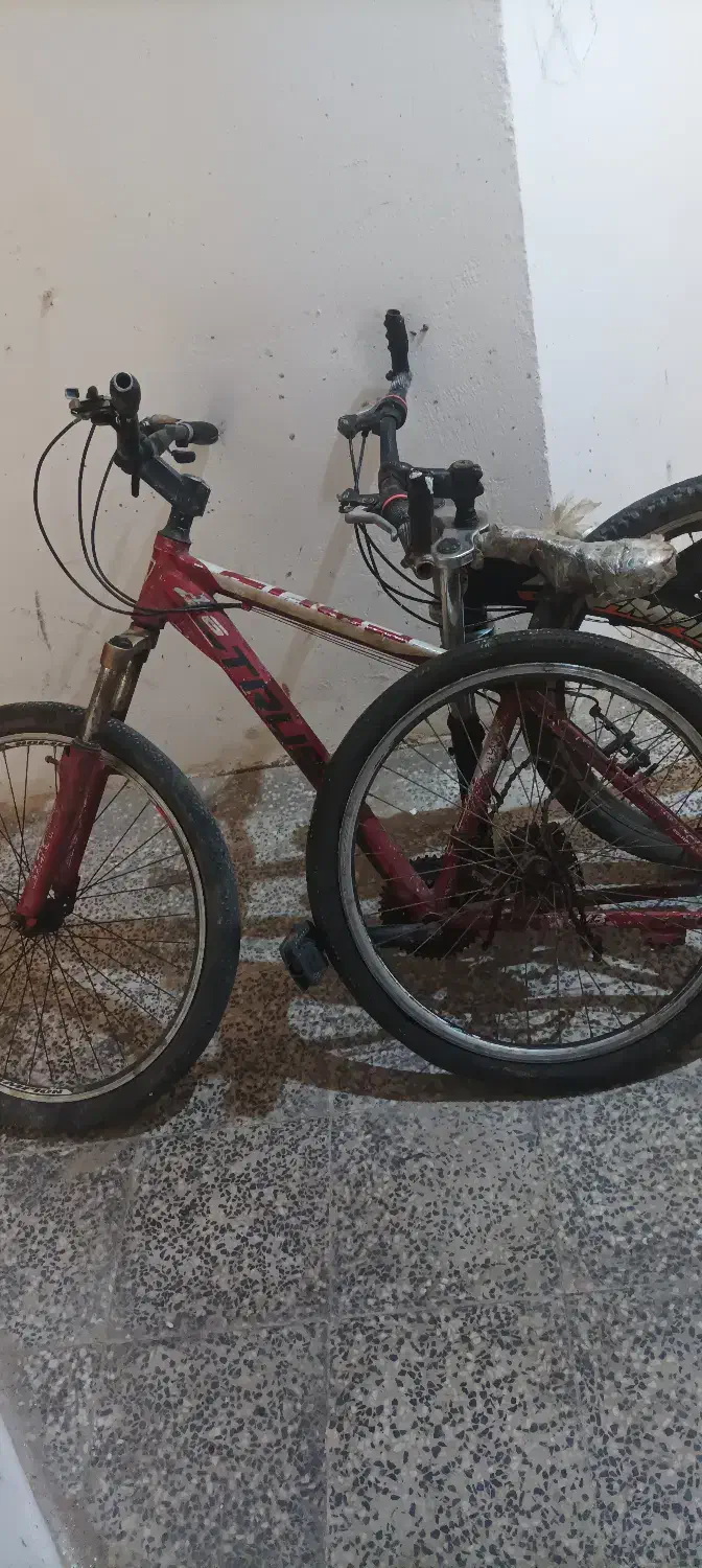 دوچرخه|دوچرخه، اسکیت، اسکوتر|بندرعباس, |دیوار