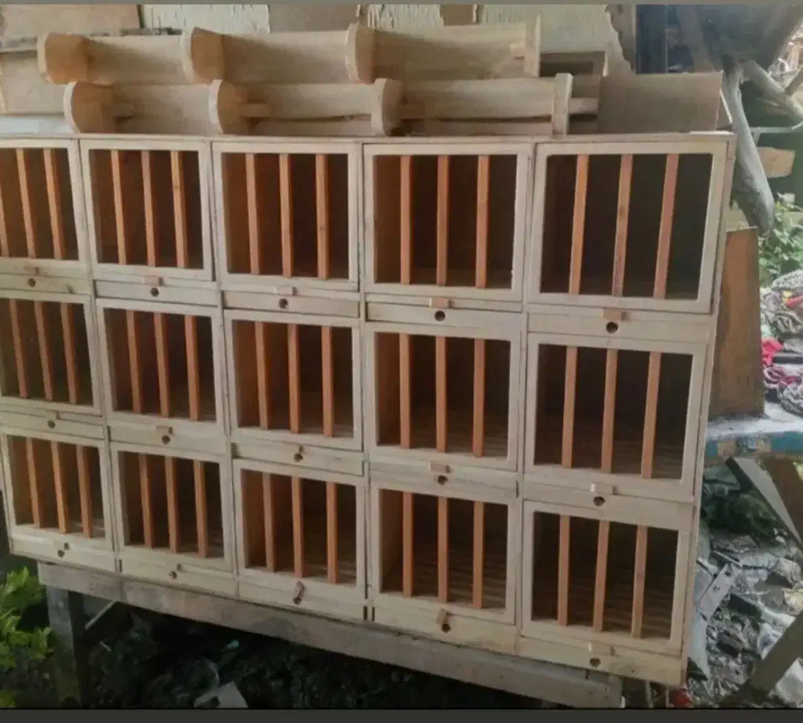 لانه کبوتر|لوازم جانبی حیوانات|قزوین, |دیوار