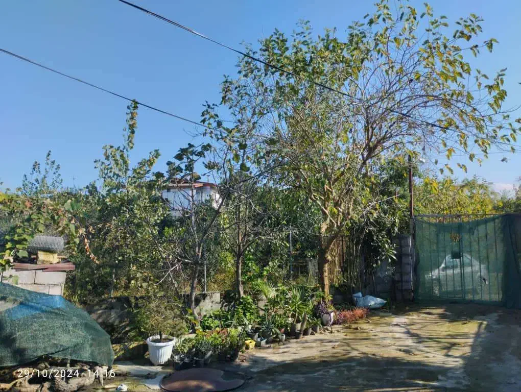 کارگر پرورش ماهی|استخدام صنعتی، فنی، مهندسی|تنکابن, |دیوار