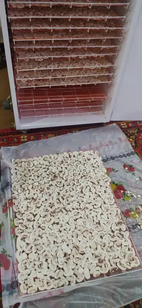 قارچ خشک درجه یک|خوردنی و آشامیدنی|تهران, چیتگر شمالی|دیوار
