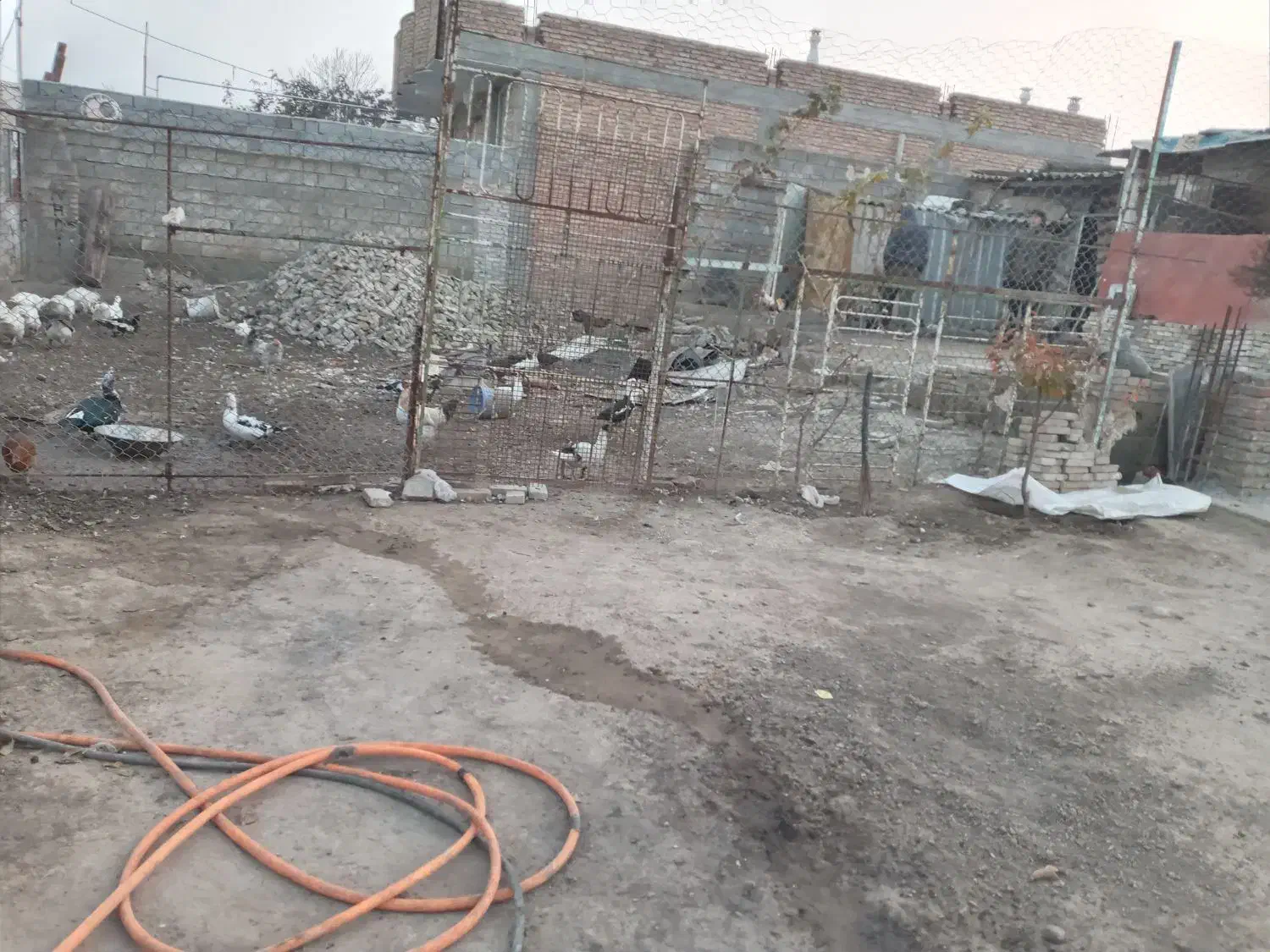 ملک|فروش زمین و ملک کلنگی|پارس‌آباد, |دیوار