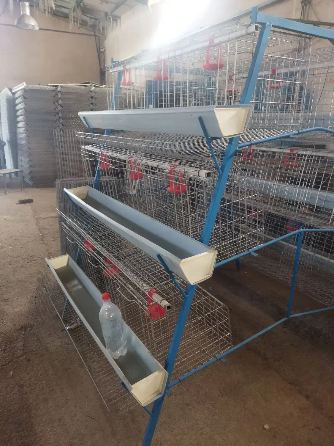 تولید تخم مرغ با قفس های ممبری 3طبقه|ماشین‌آلات صنعتی|قزوین, |دیوار