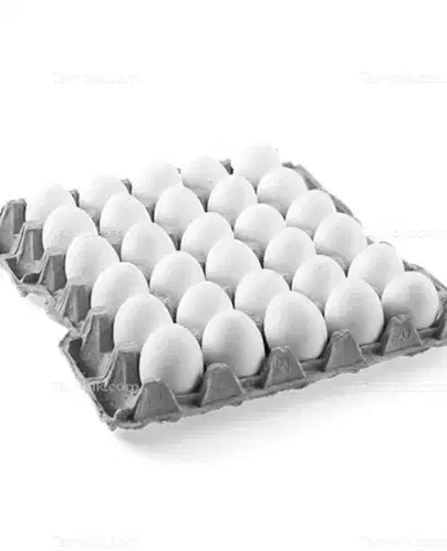 تخم مرغ شانه ی عمده|عمدهفروشی|بروجرد, |دیوار