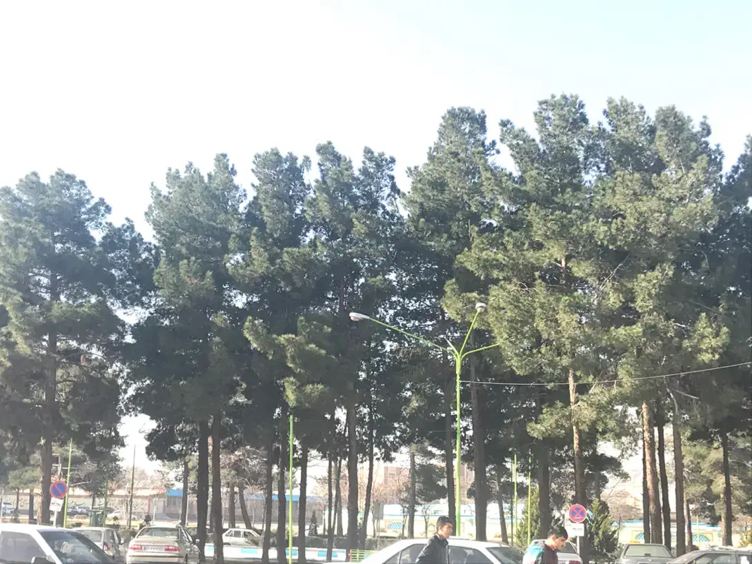 فروش خانه ویلایی دو طبقه|فروش خانه و ویلا|فولادشهر, C5|دیوار