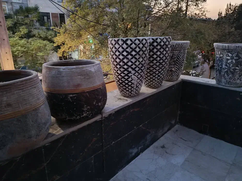 گلدون|گل و گیاه طبیعی|ری, سیزده آبان|دیوار