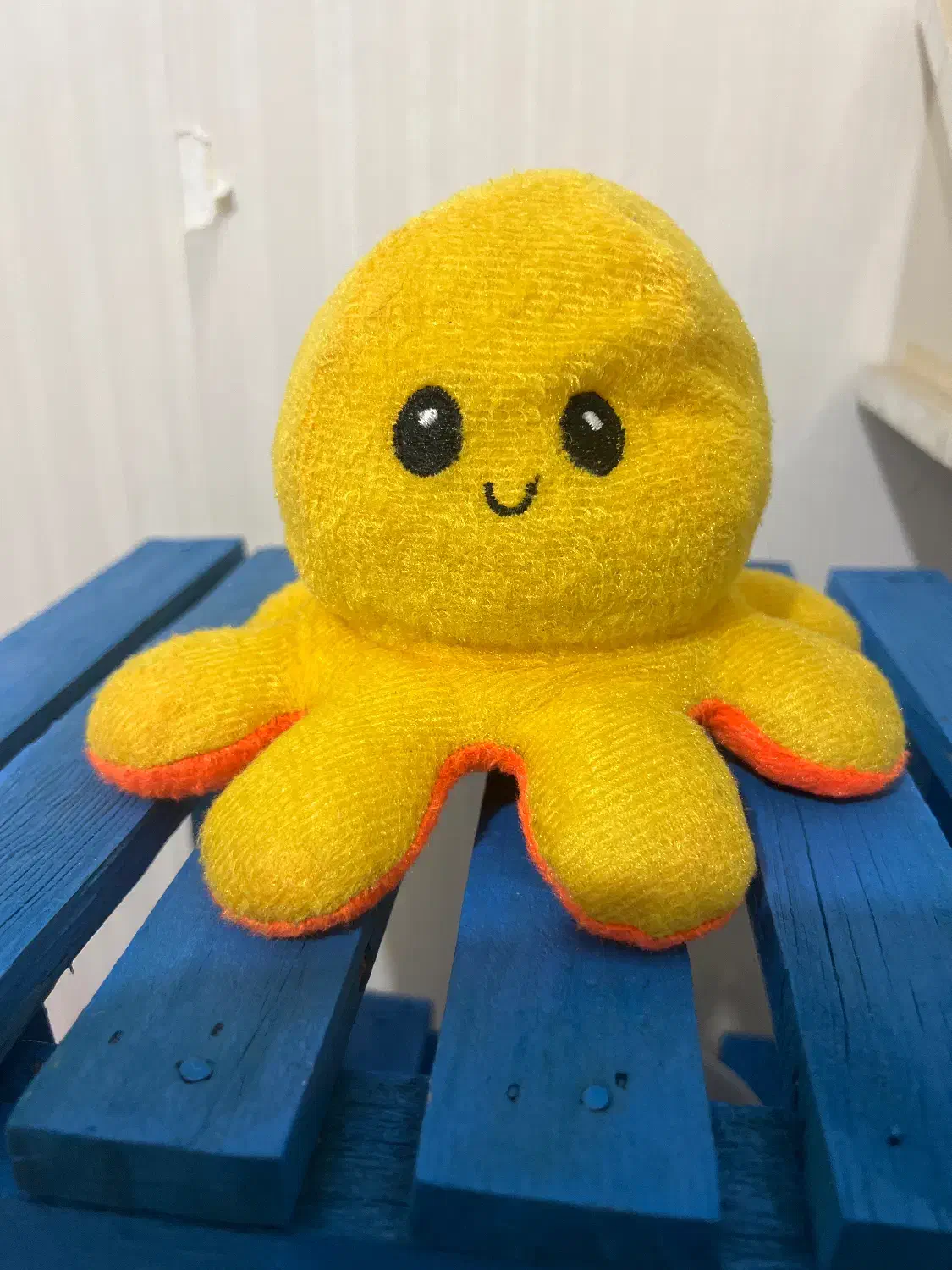 عروسک|اسباببازی|تبریز, |دیوار