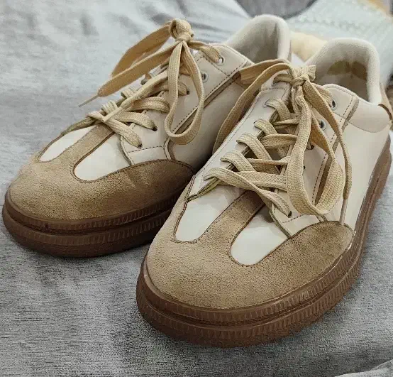 کفش دخترانه|کیف، کفش، کمربند|شوشتر, |دیوار