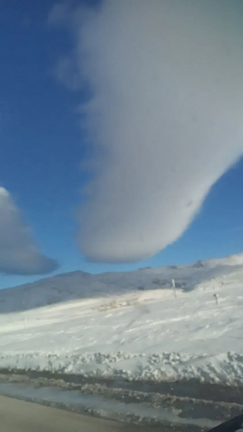 نیاز به سرویس|فعالیت داوطلبانه تحقیقاتی|اردبیل, |دیوار