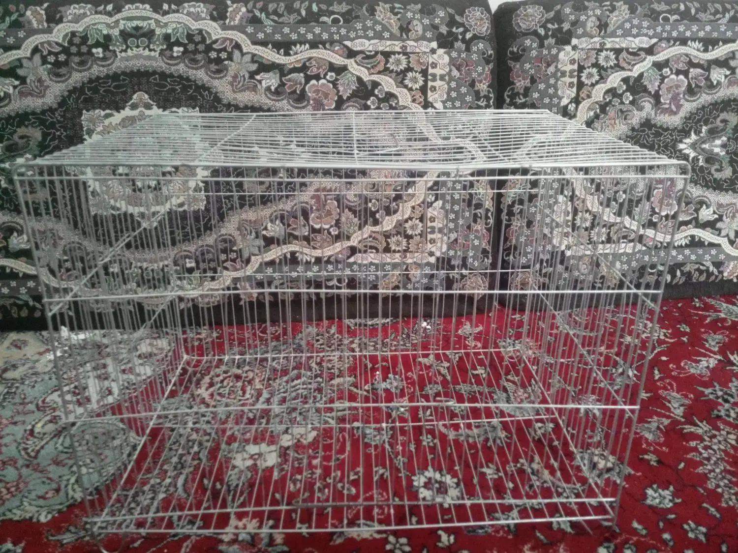 قفس پرنده|لوازم جانبی حیوانات|شیراز, شهدای شهرک سعدی|دیوار