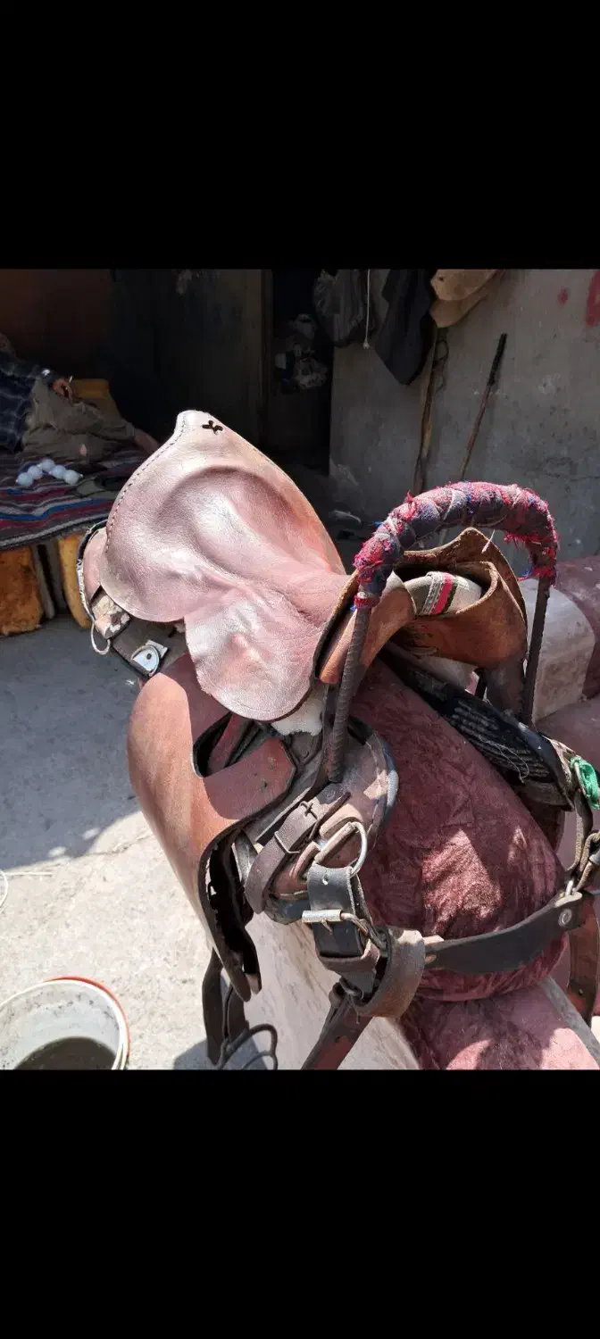 وسایل کامل اسب سواری|اسب و تجهیزات اسب‌سواری|خوی, |دیوار