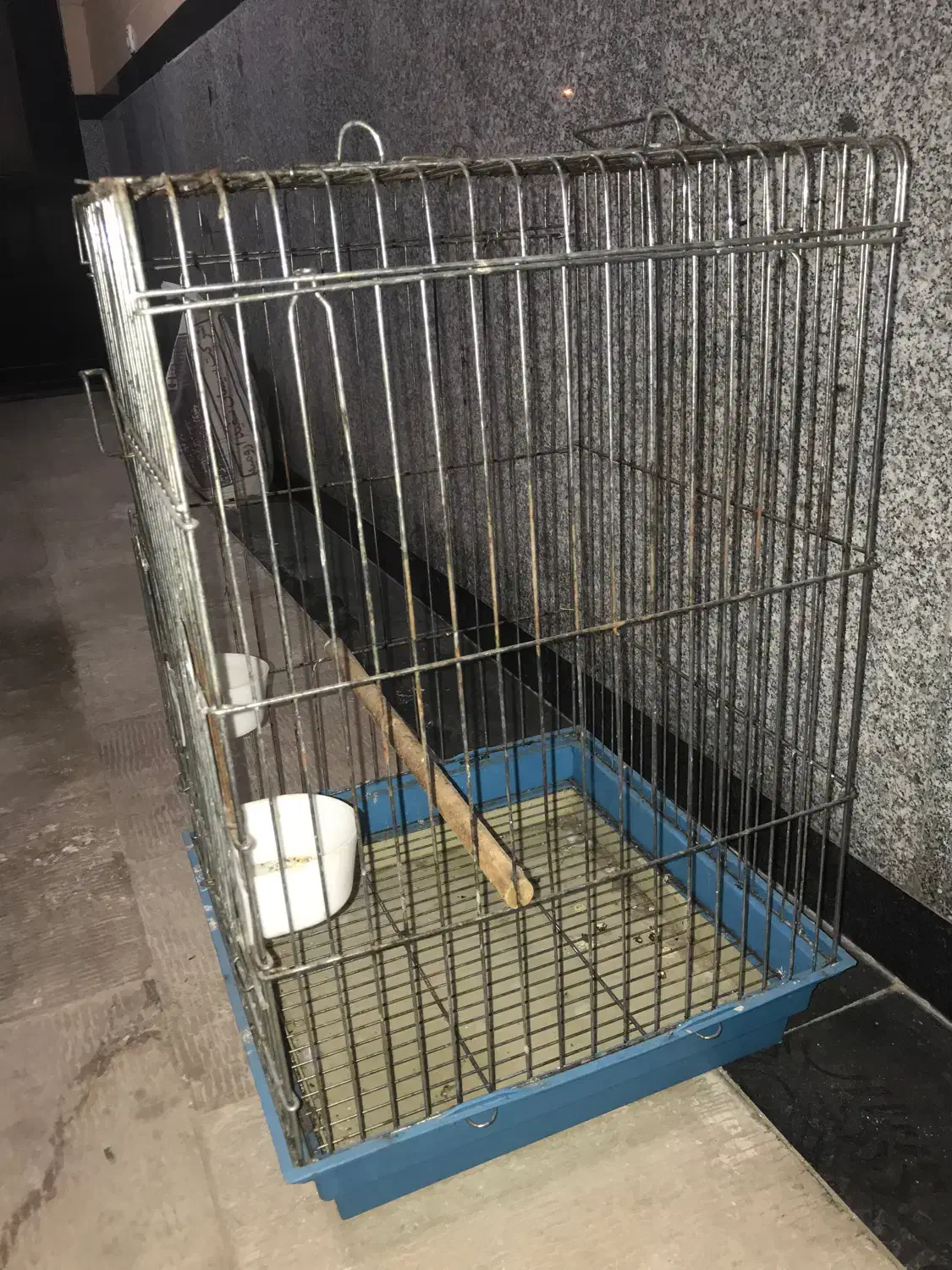 قفس پرنده .عروس هلندی.قناری|پرنده|اردبیل, |دیوار