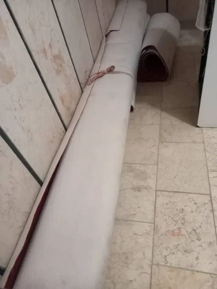 پالاز موکت|موکت|اراک, |دیوار