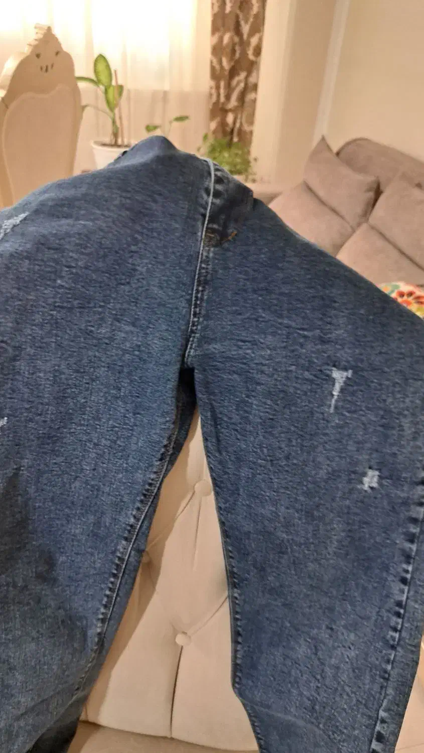 شلوار لی|لباس|ساری, |دیوار