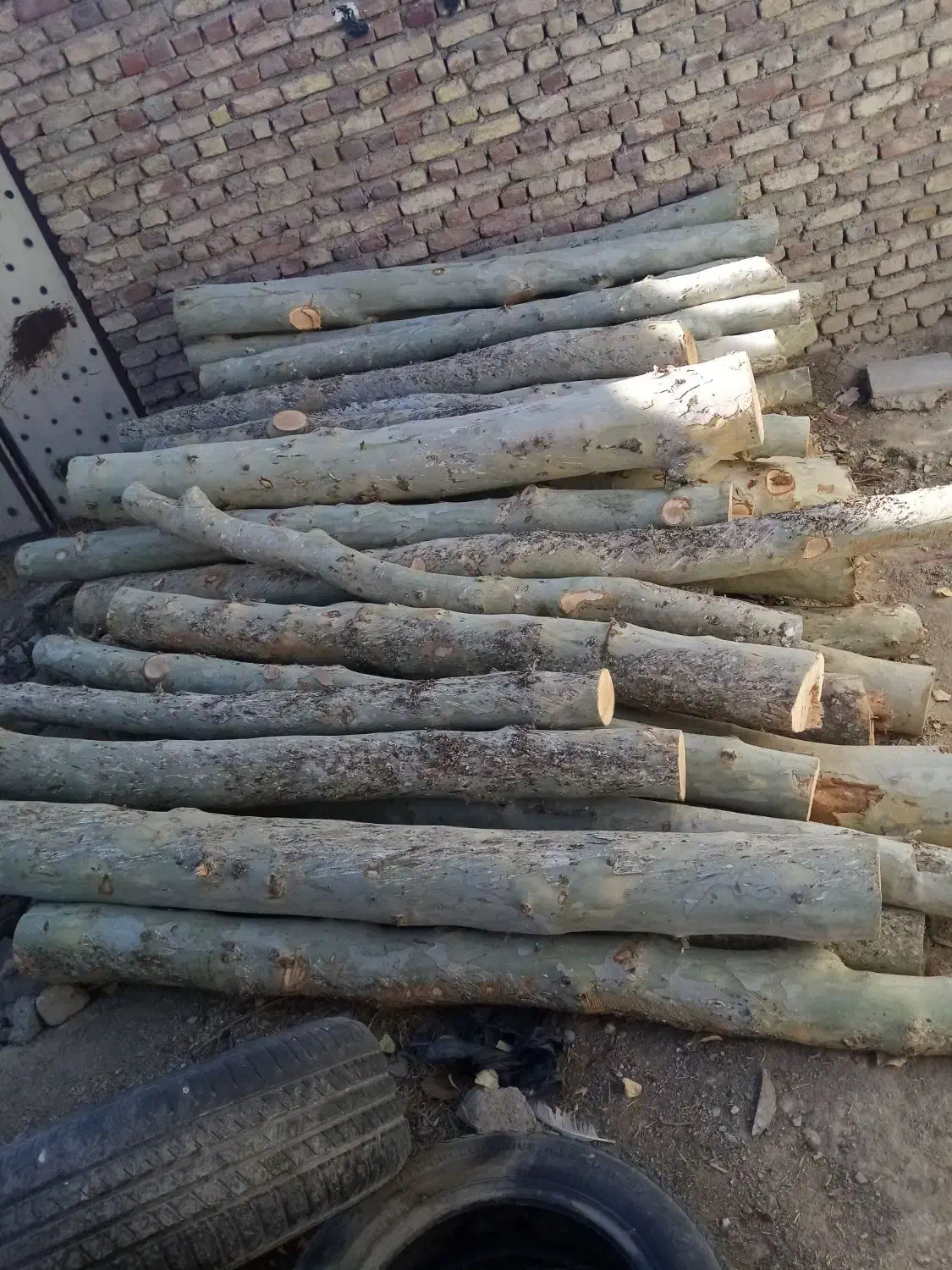 چوب چنار|خدمات باغبانی و درختکاری|ملایر, |دیوار