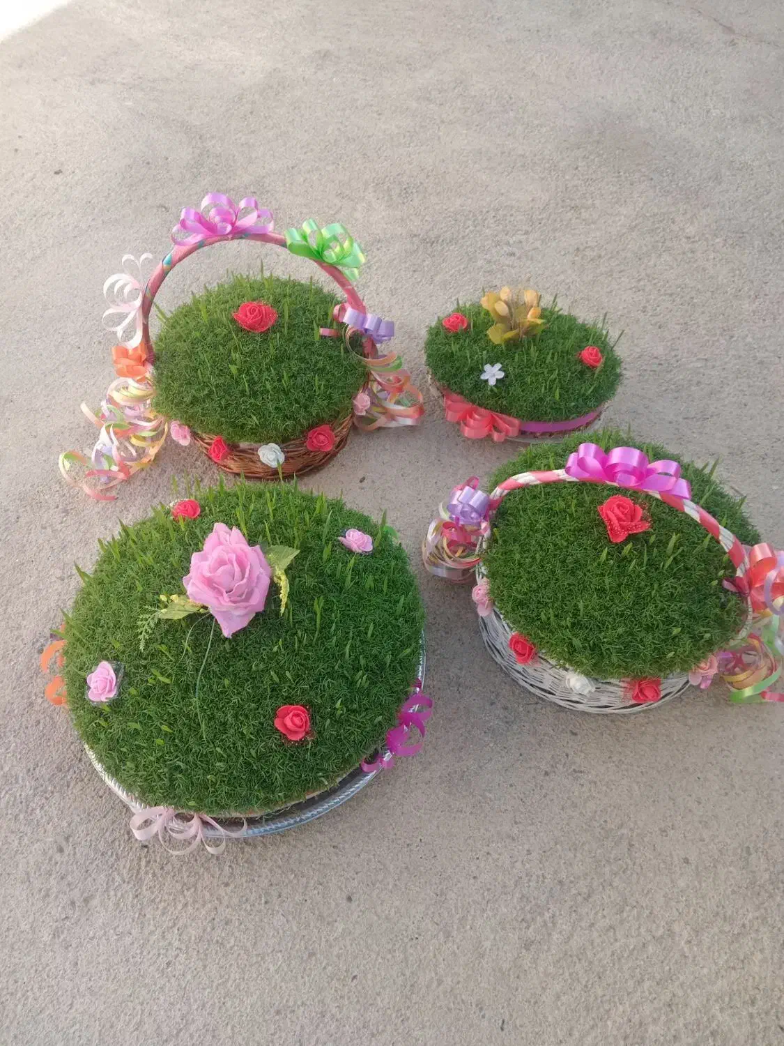 سبزه|گل و گیاه طبیعی|کنگاور, |دیوار