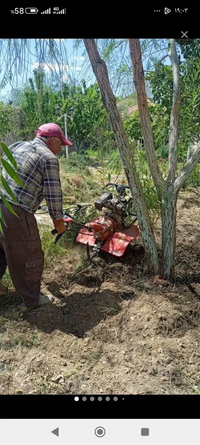 باغبانی ،سمپاشی،تیلرزنی،هرسکاری با اره متوری|خدمات باغبانی و درختکاری|مشهد, توس (بلوار توس)|دیوار