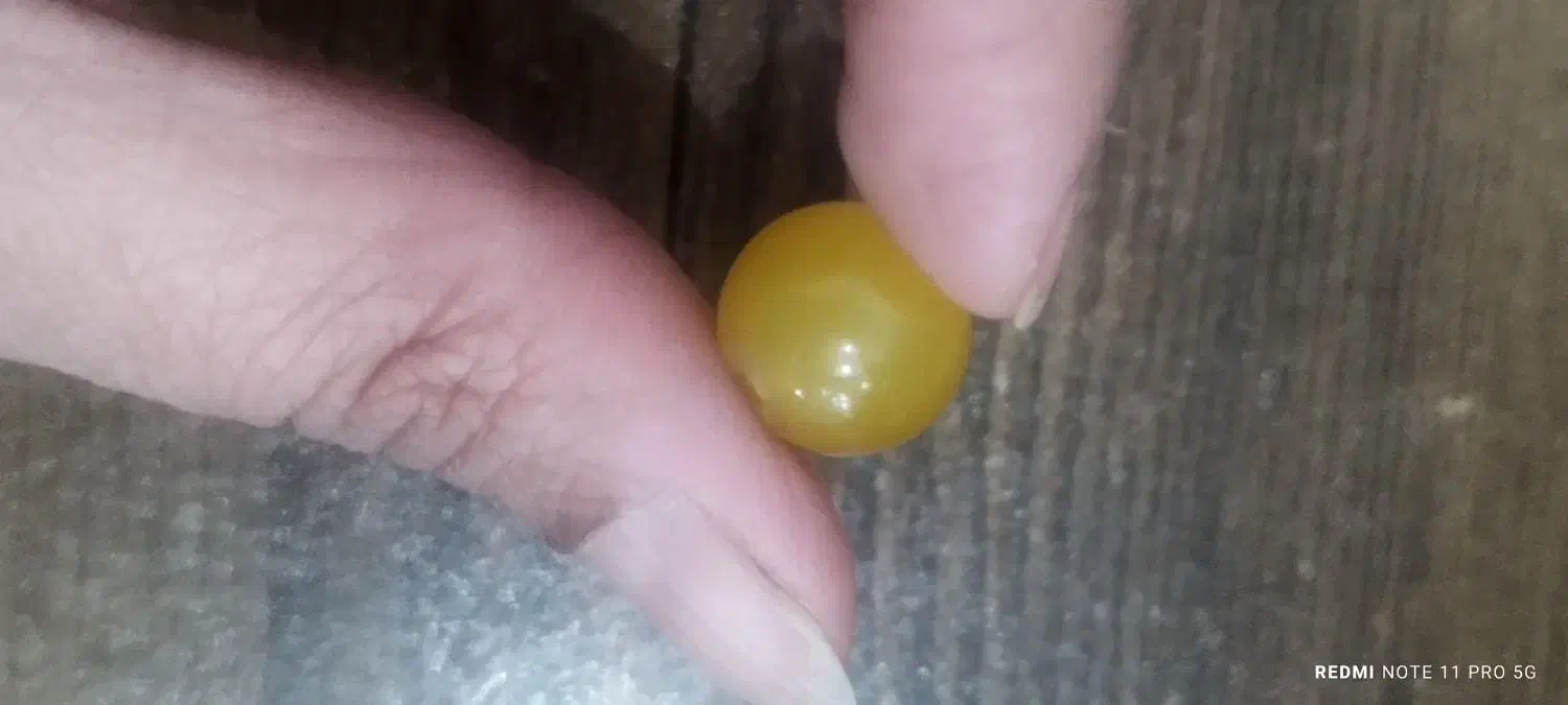 عقیق زرد|جواهرات|شیراز, ماه فیروزان|دیوار