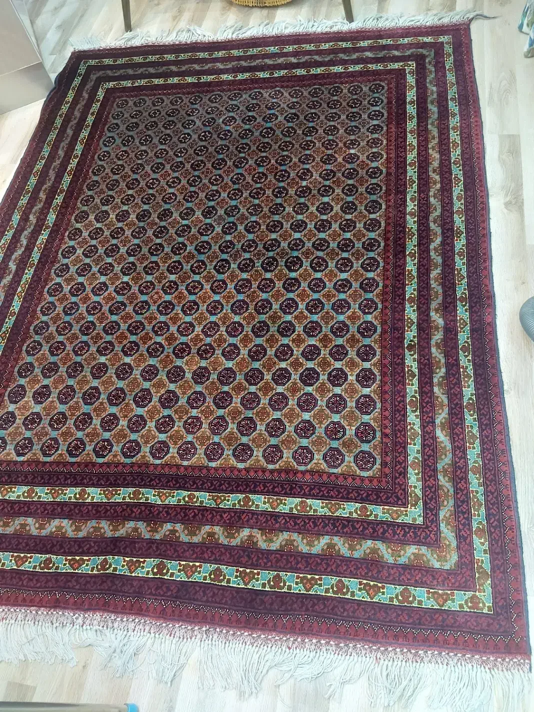 فرش دستبافت|فرش|خوی, |دیوار