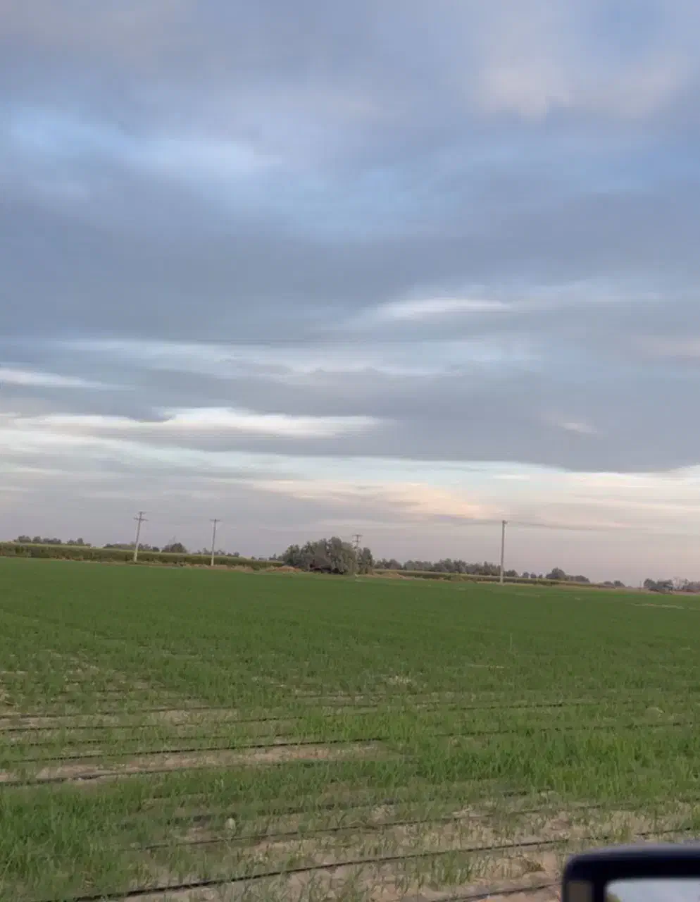 اجاره زمین کشاورزی|اجارهٔ دفتر صنعتی، کشاورزی، تجاری|رودبار (کرمان), |دیوار