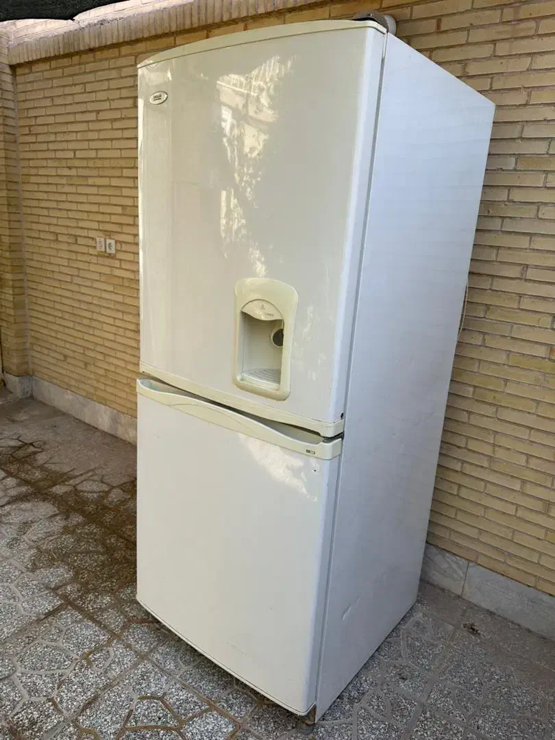 یخچال فریز اسنوا|یخچال و فریزر|یزد, |دیوار