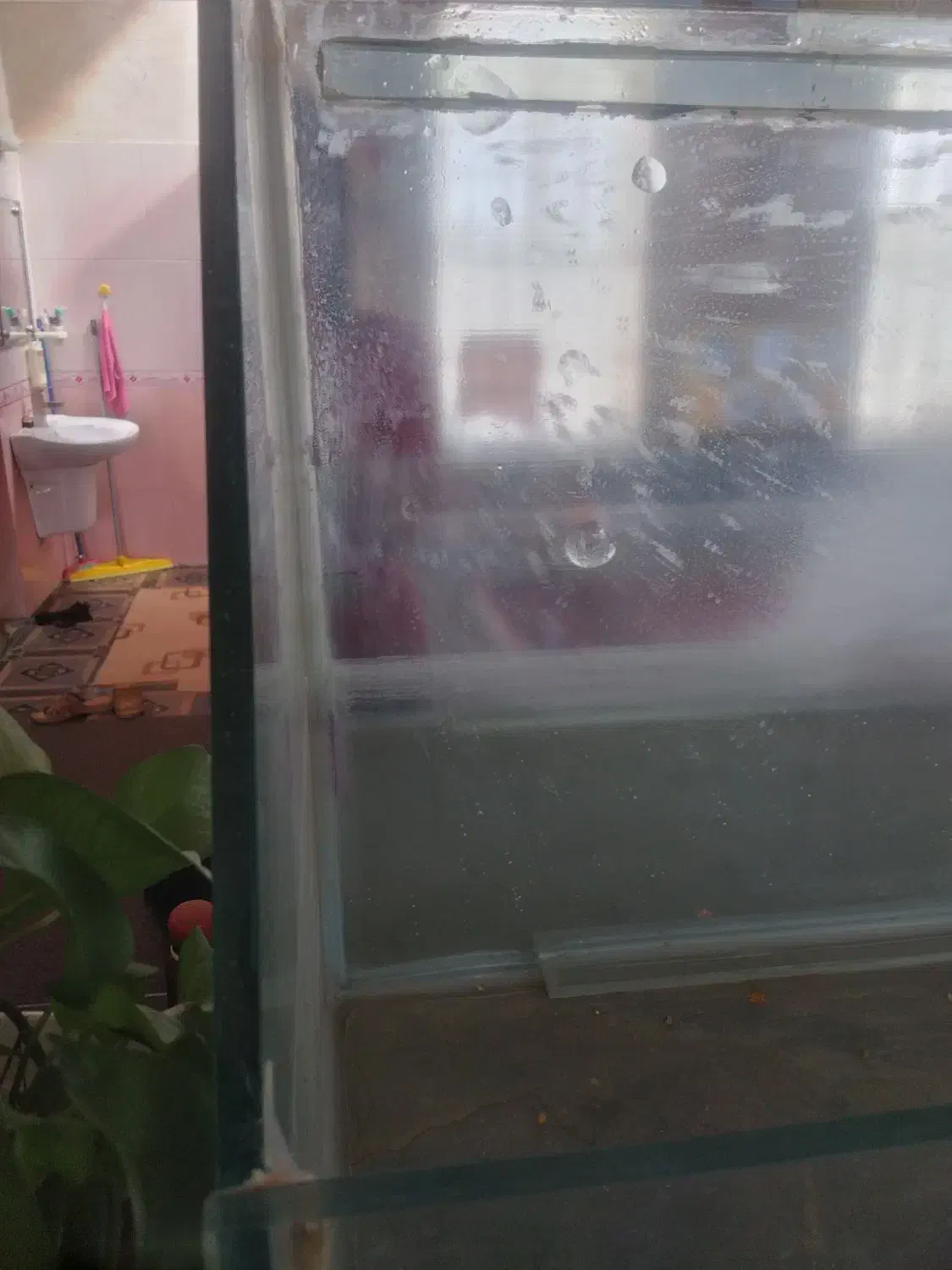 فروشی|ماهی|مرودشت, زنگی آباد|دیوار